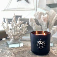 Load image into Gallery viewer, The Lion&#39;s Den Candle Company Subscribe and Save 100% Soy Candles Every Month 12 oz Black and Silver
